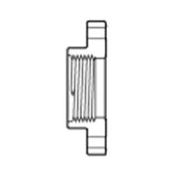 1″ CPVC FIPT SCH 80 ONE PIECE FLANGE