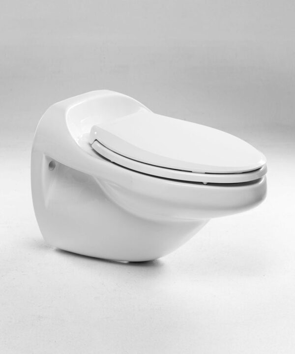 Royal Flush Aero (Wall Mounted Toilet)