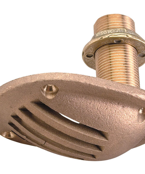 Intake Strainer