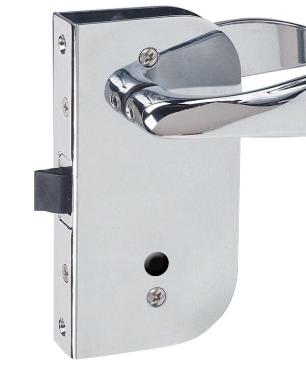 Flush Latch Set