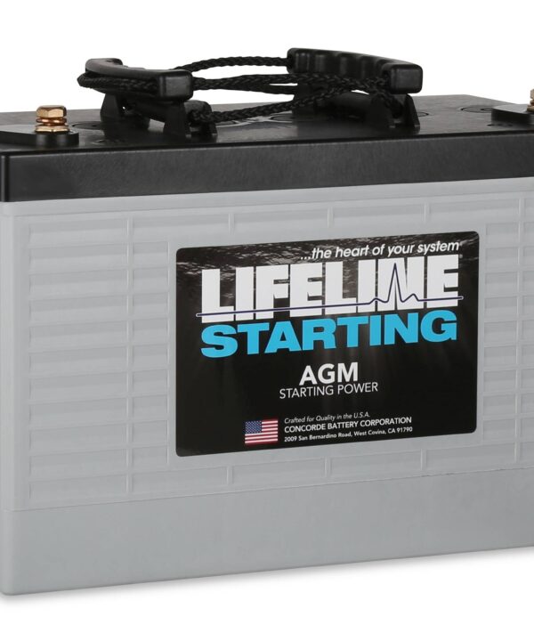 GPL-3100T AGM RV/Marine Battery